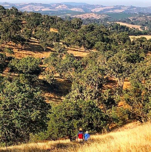 Windwood Ranch Paso Robles Villa Екстериор снимка